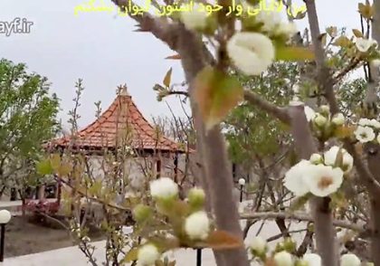 باز آمدم چون عید نو